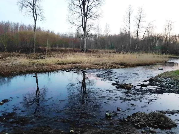 ..pie ūdens līmeņa 130 cm. Sākas nārsts; kāds nārsts..?!