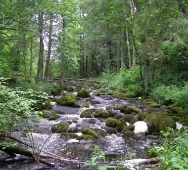 Ogres NARUŽAS Velna maiss